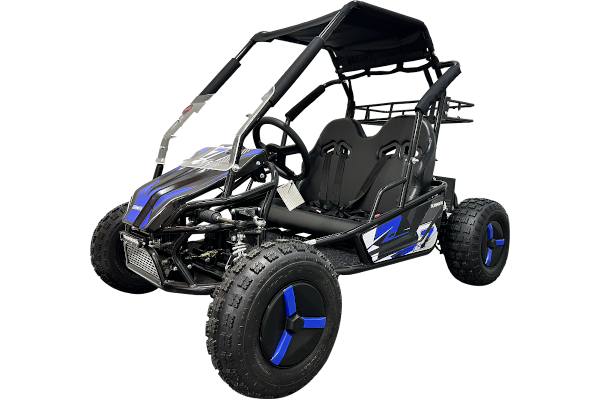 Багги SCANMOTO RAPID II - фото